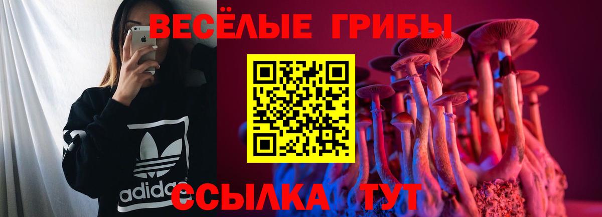 Псилоцибиновые грибы Psilocybine cubensis  купить закладку  Камышлов  Вход с VPN 